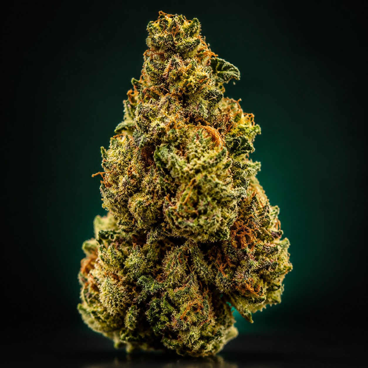 Durban Z